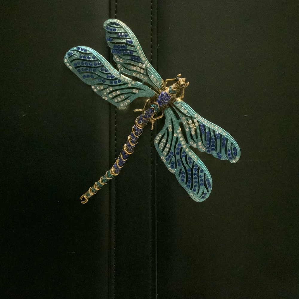 Large dragon fly brooch